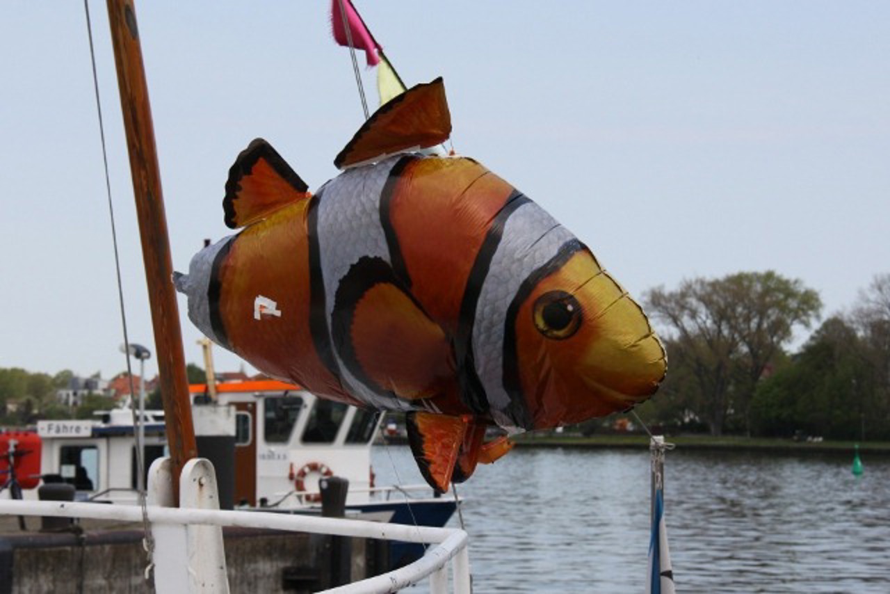 Nicht der einzige FiSH im Stadthafen