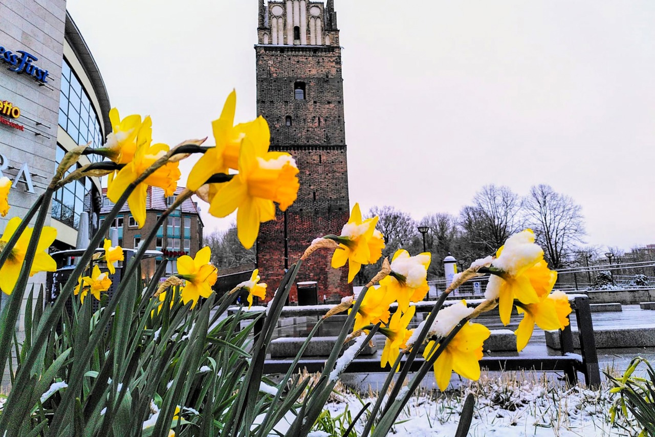 Schnee vor dem Kröpeliner Tor in Rostock