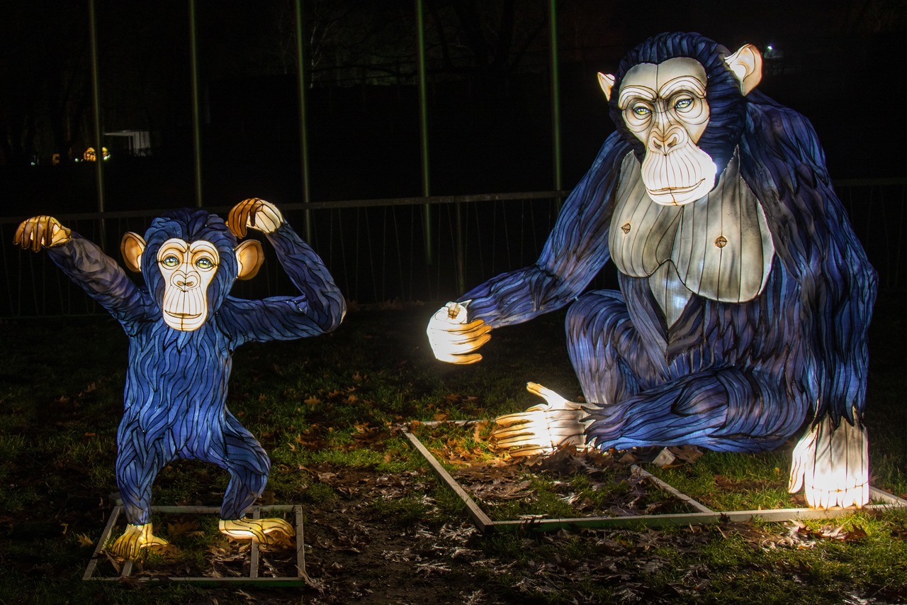 Affen bei den Zoolights Rostock
