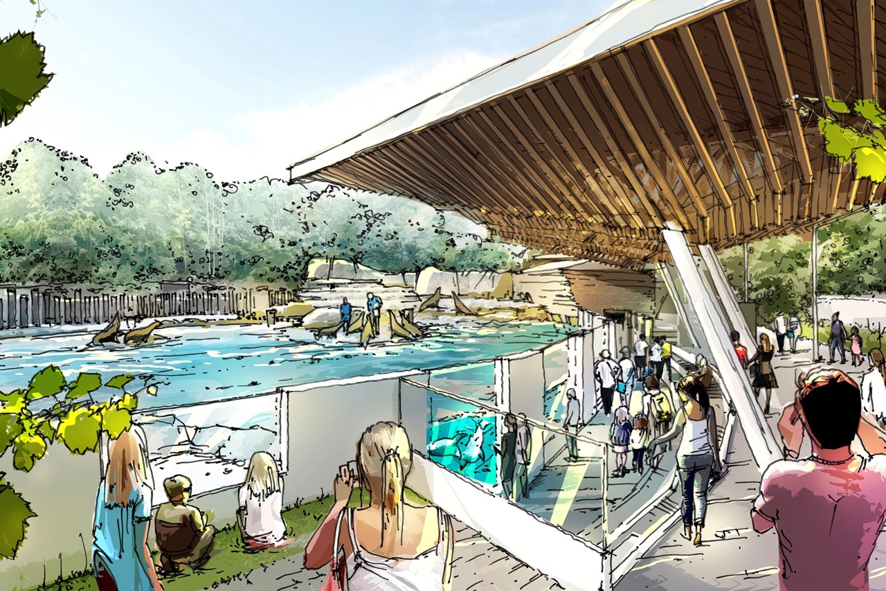 So soll die neue Robbenanlage im Zoo Rostock künftig ausschauen - Besuchereinblick (Grafik: Zooquariumdesign (ZQD) GmbH Hamburg)