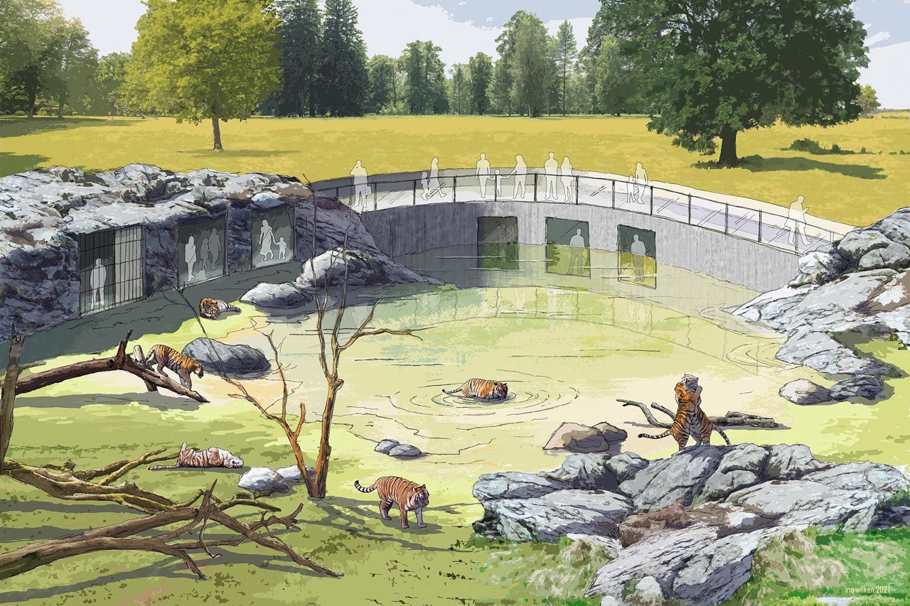 Anlage für Amur-Tiger (Grafik: Zoo Rostock/Ina Wilken)