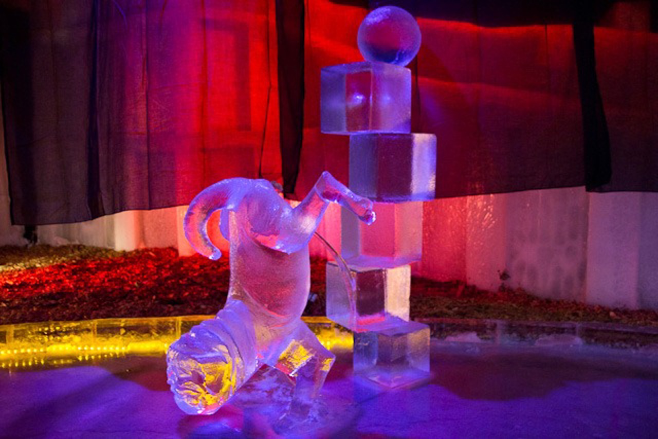 Eismops bei Karls