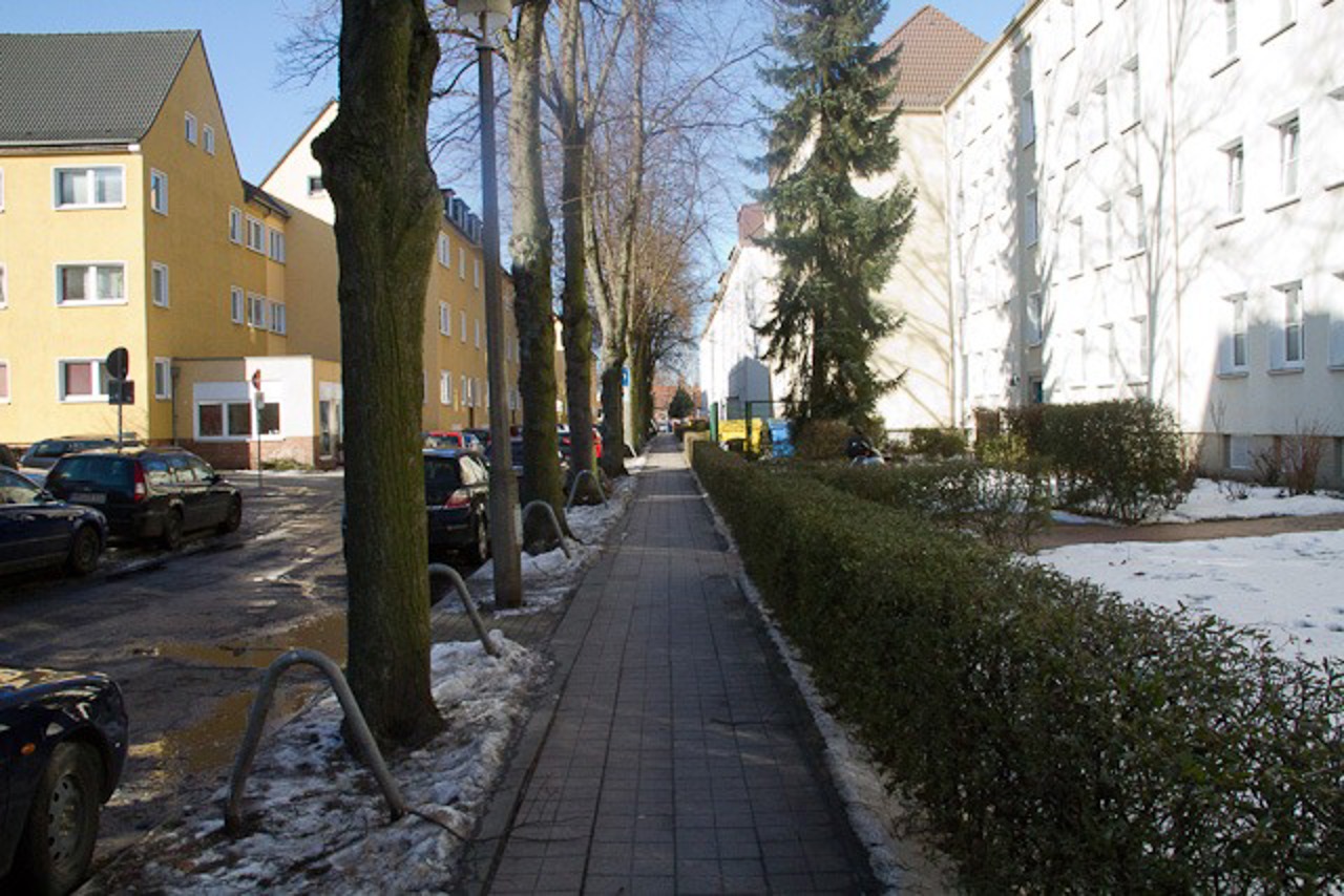 In der Lüneburgerstraße werden die Straßenbäume durch Bügel geschützt. Sie verdunkeln jedoch die Wohnungen. Die Einwohner wünschen sich mehr Licht.