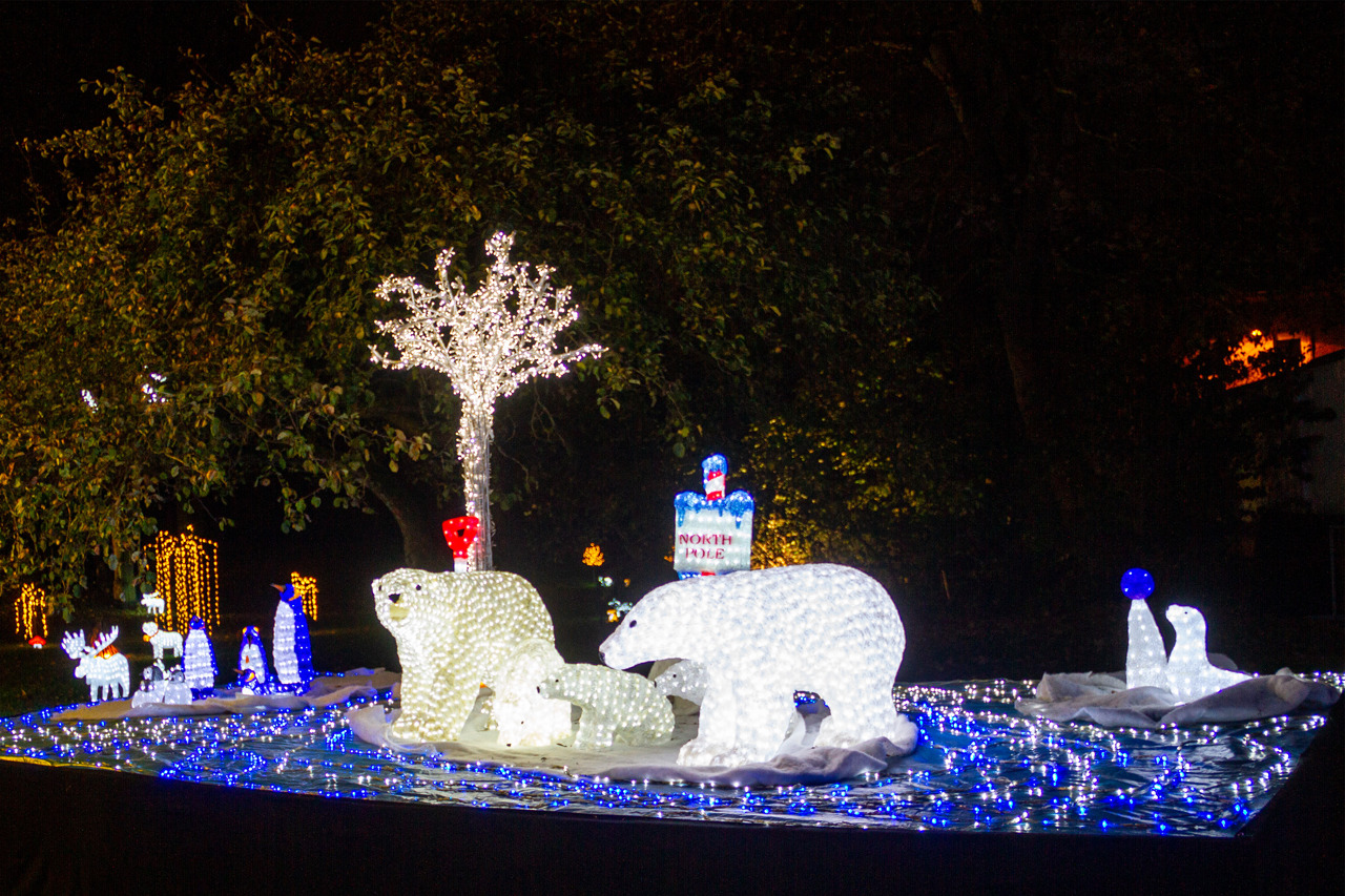 Rostocker Lichtwoche 2020, Klostergarten