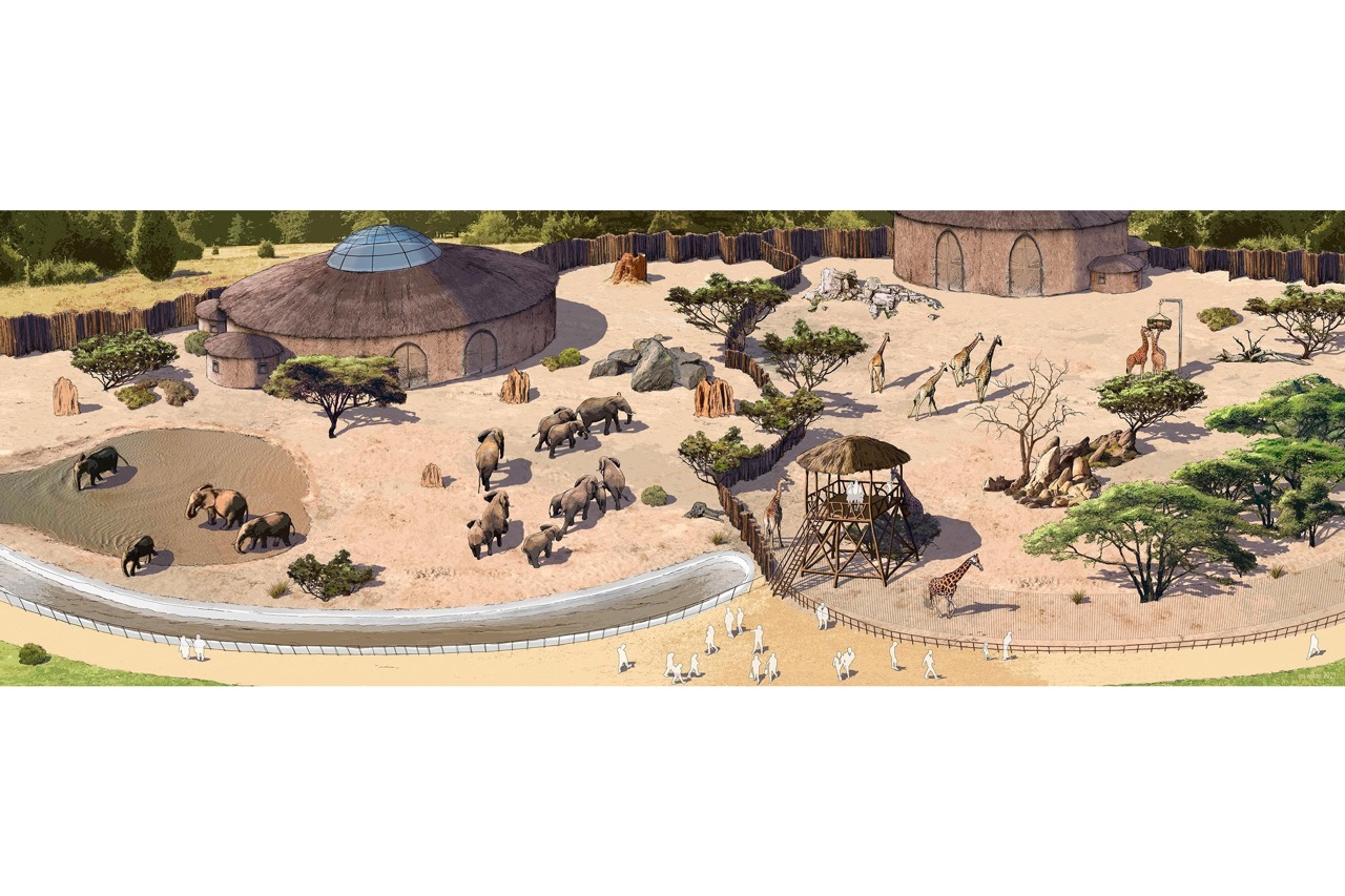 Afrikaneum für Elefanten, Giraffen und Okapis (Grafik: Zoo Rostock/Ina Wilken)