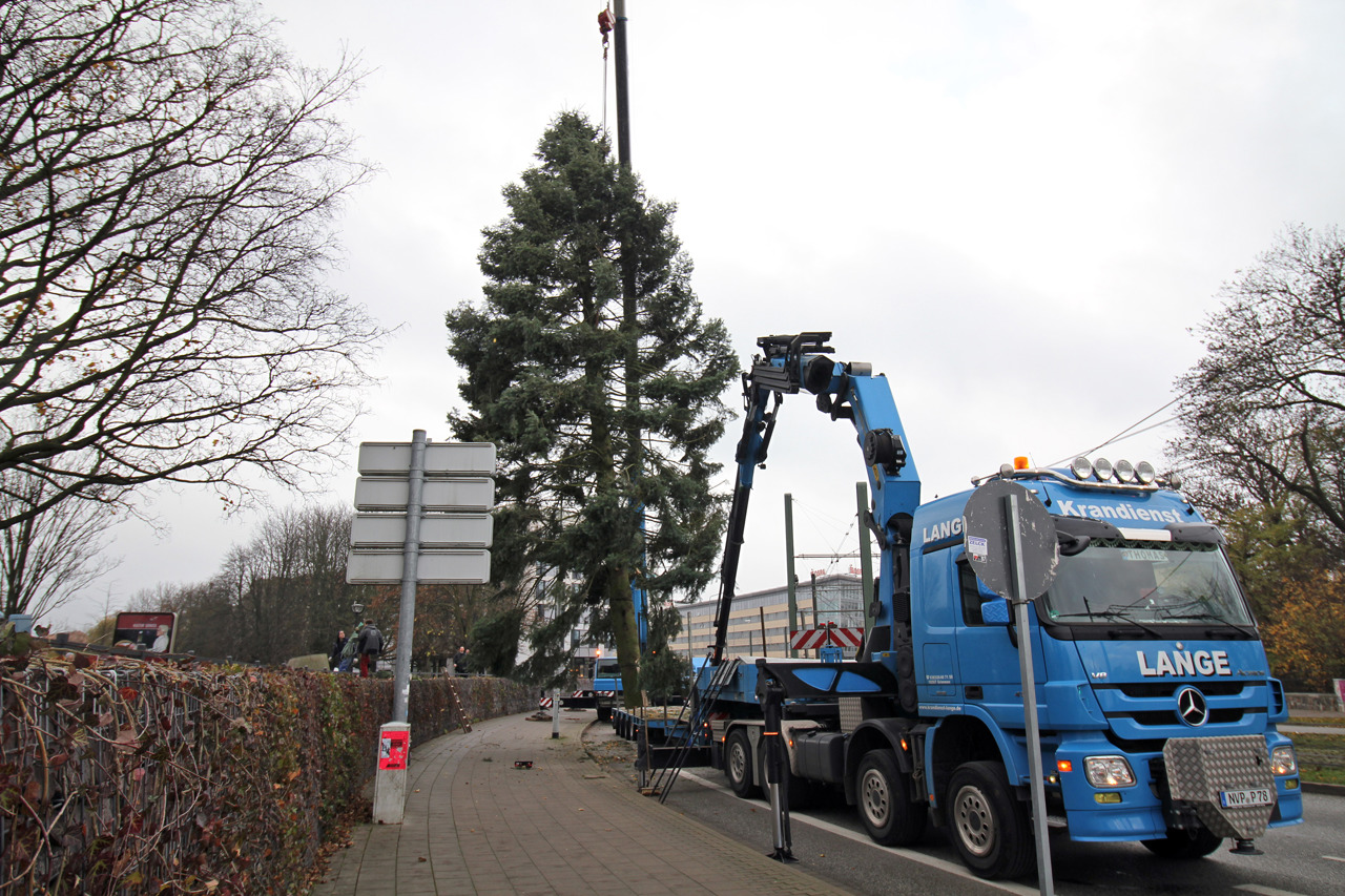 Per Tieflader kam der Tannenbaum für den Rostocker Weihnachtsmarkt am Kröpeliner Tor an