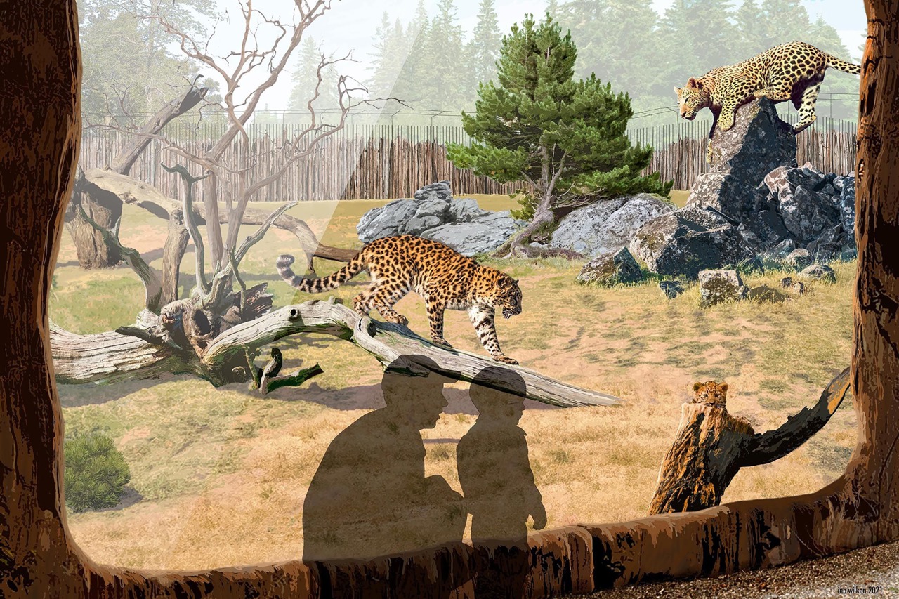Anlage für Amur-Leoparden (Grafik: Zoo Rostock/Ina Wilken)