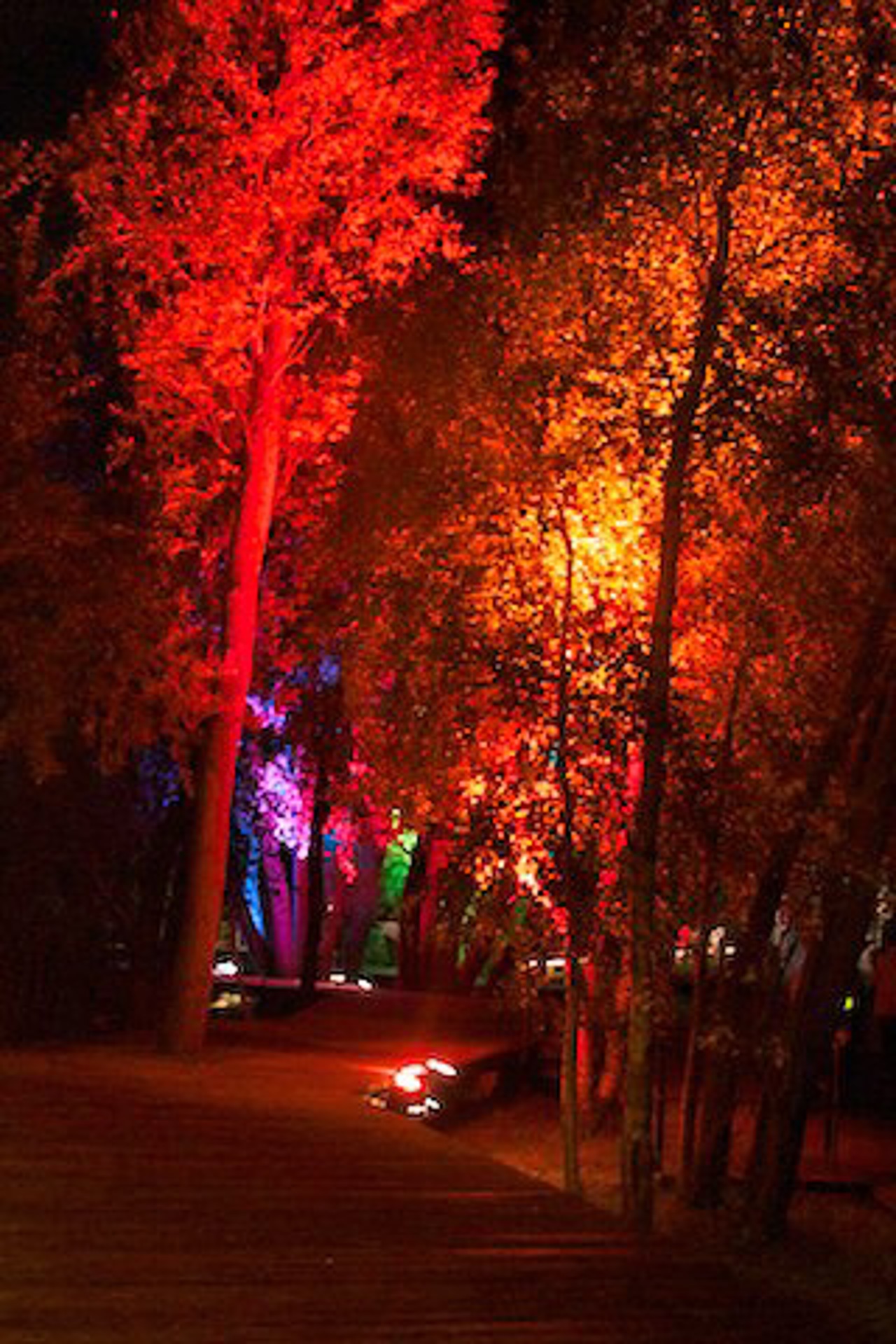 LichtKlangNacht 2014 im IGA-Park