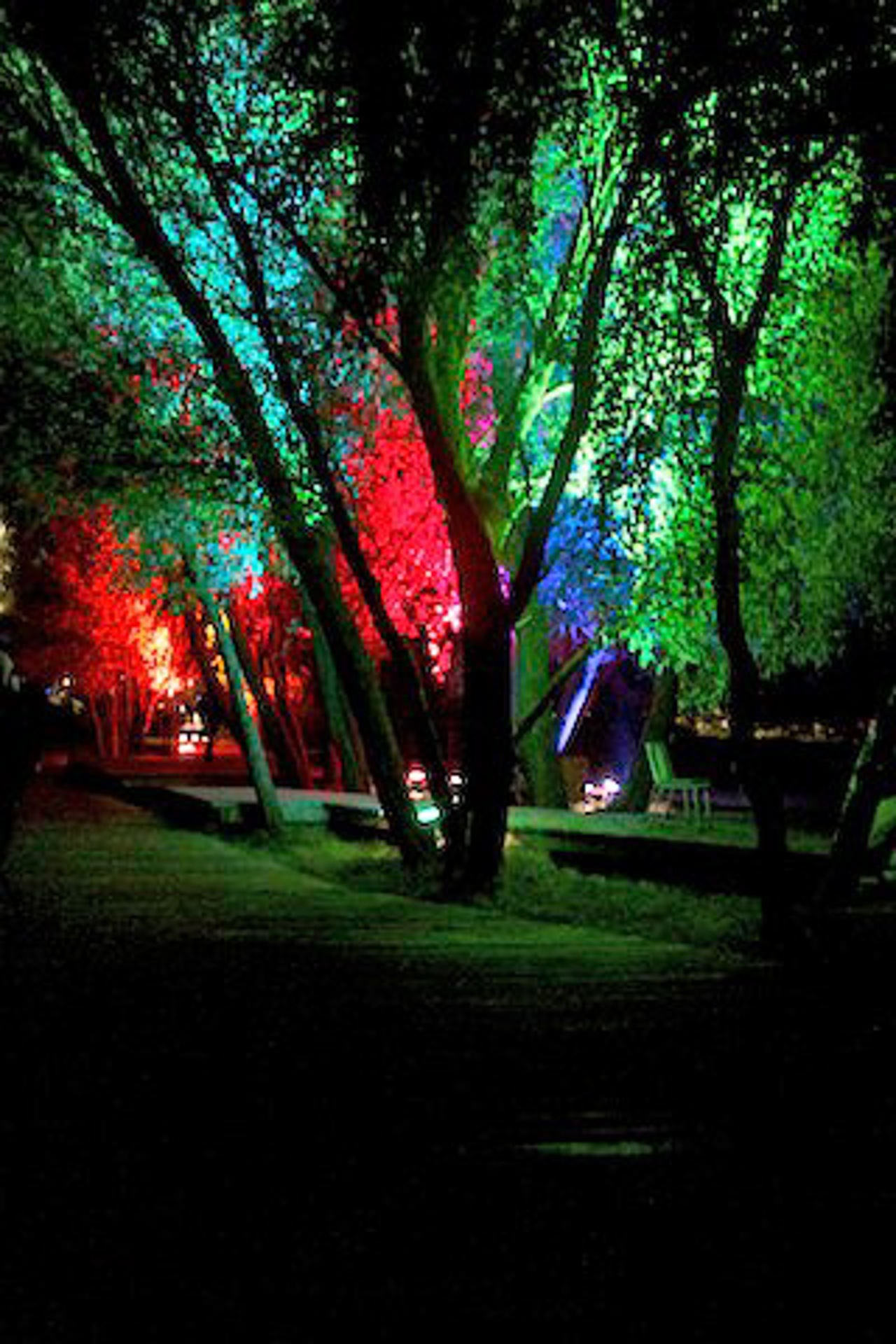 8. LichtKlangNacht im IGA-Park