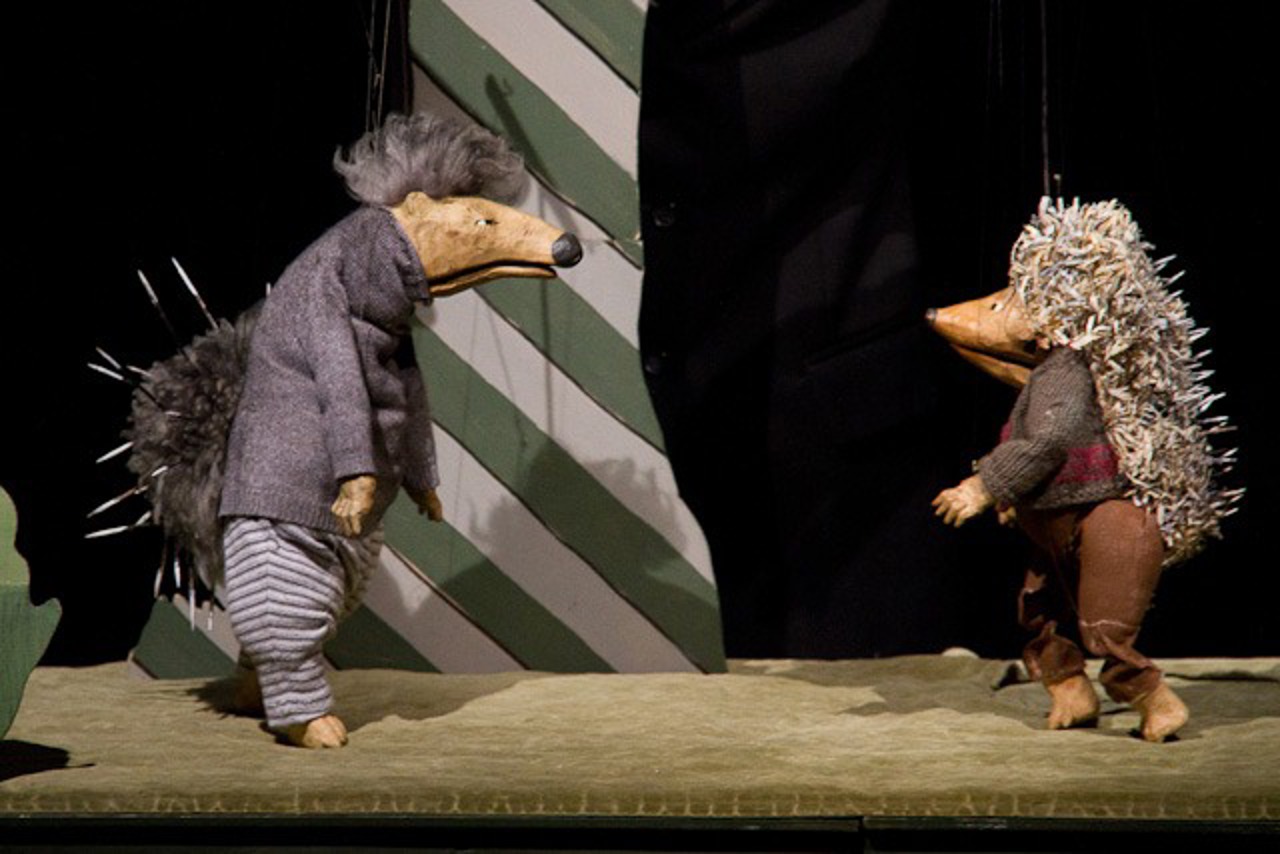 Stachelschwein und Igel