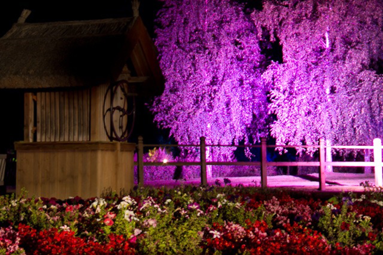Garten im IGA Park bei der Lichtklangnacht