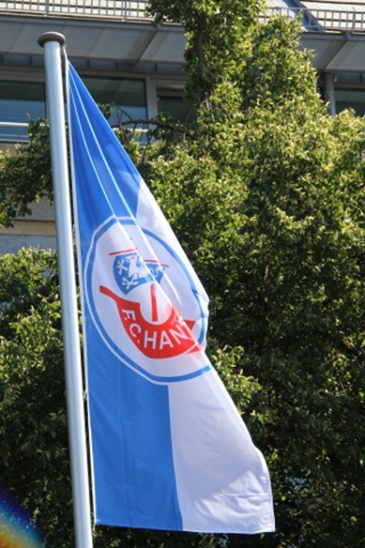 F.C. Hansa Flagge vor dem Rostocker Rathaus