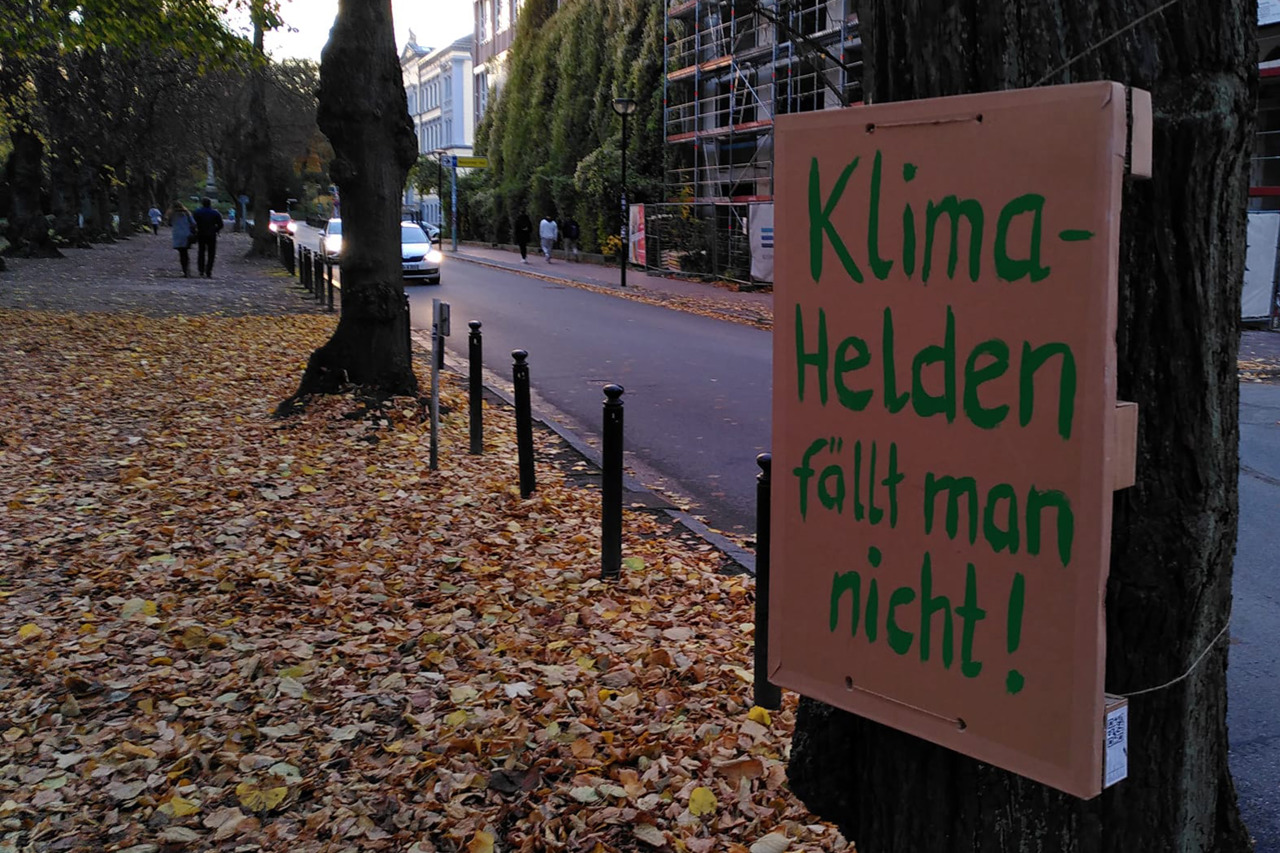 Rosengarten Rostock - Protestschilder gegen die geplanten Baumfällungen