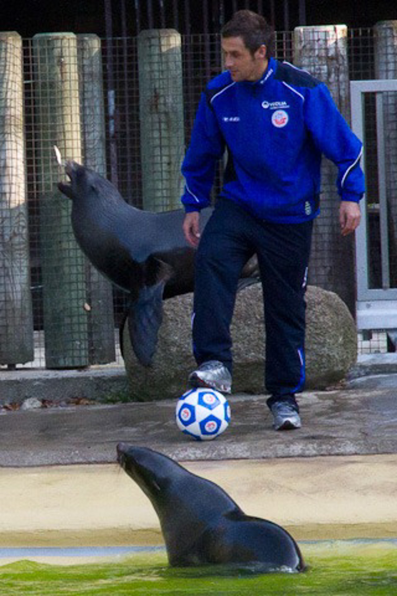 Marcel Schied im Ballbesitz