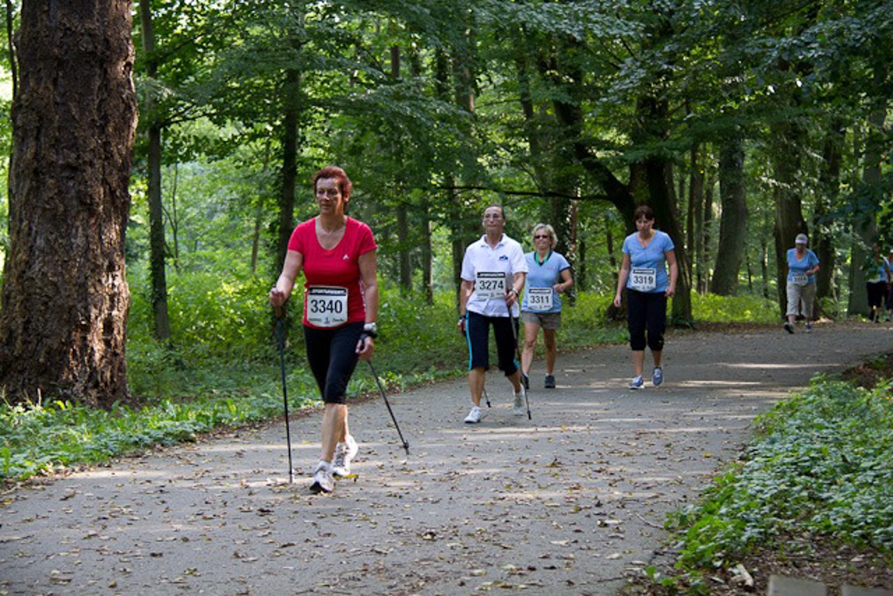 Walkerinnen im Barnstorfer Wald