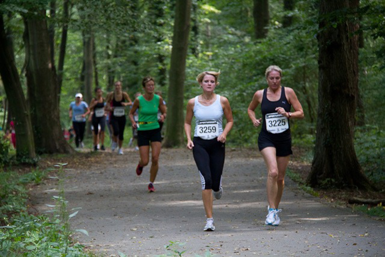 Läuferinnen im Barnstorfer Wald