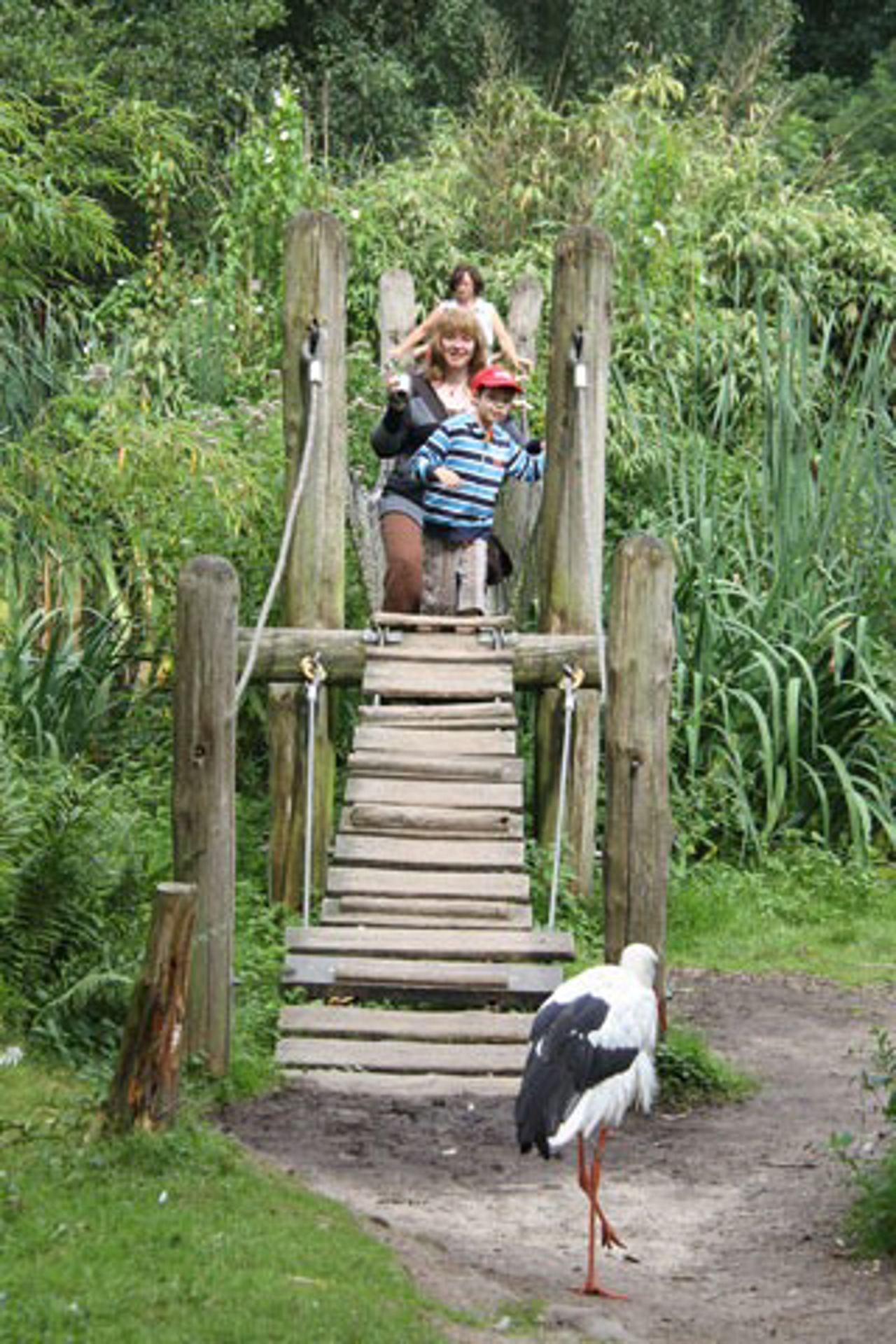 Dennis im Zoo Rostock