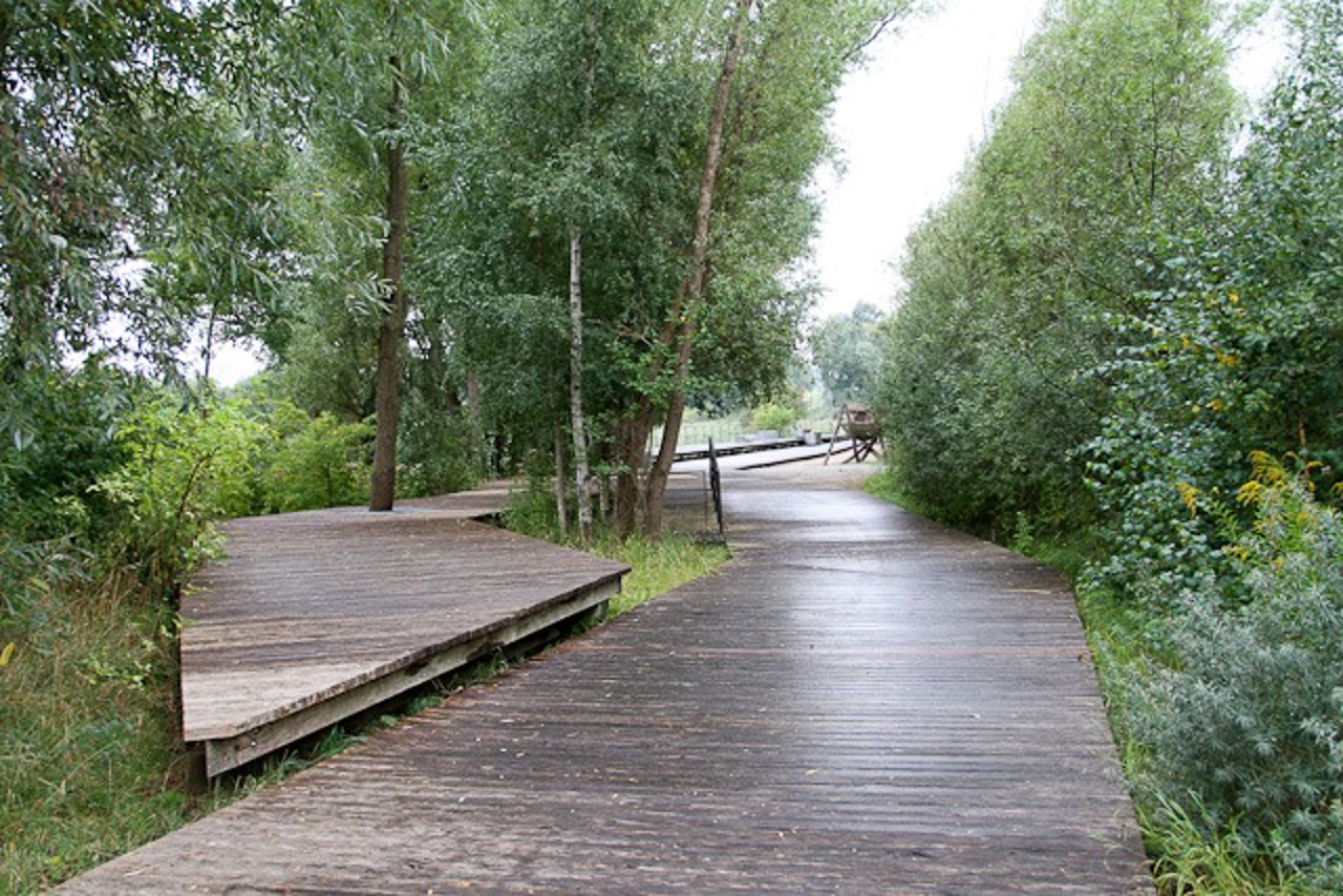 Bei Regen werden die Holzstege zur Rutschpartie. Vor allem die mit alternativem Gehweg sollen zurückgebaut werden.