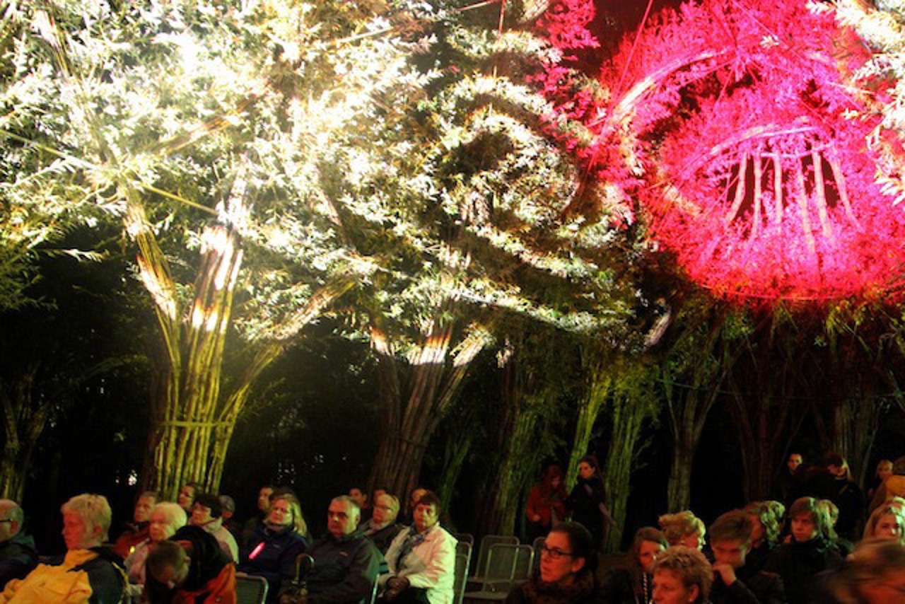 Der Weidendom im IGA Park zur Lichtklangnacht 2014