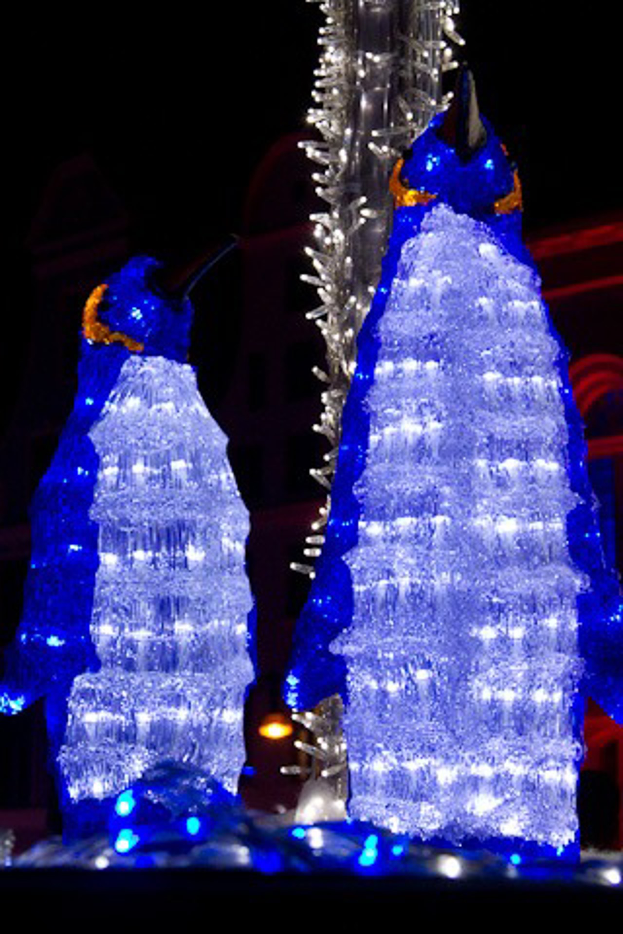 Pinguine Lichtinstallation
