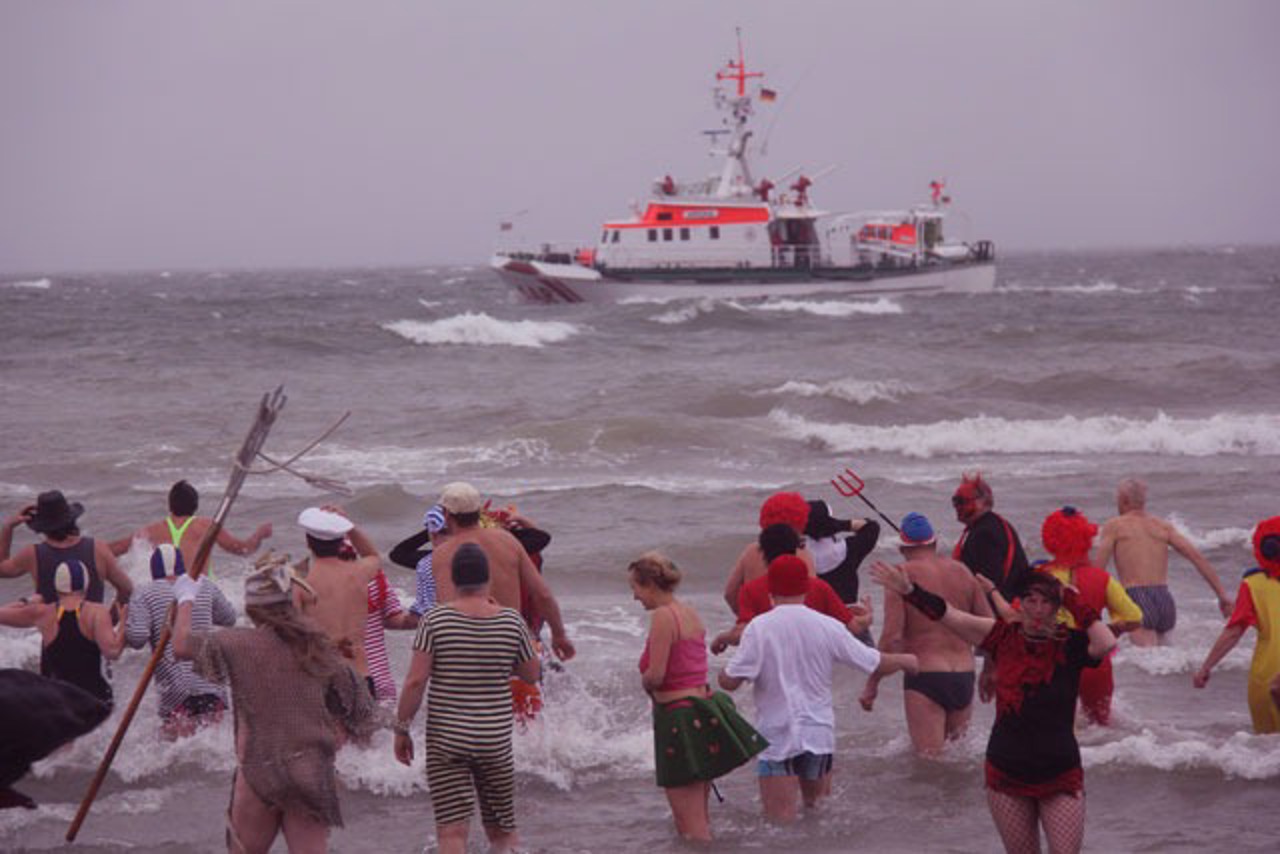 Bunte Rostocker Seehunde stürzen sich in die Ostsee