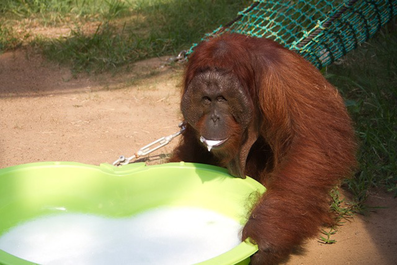 Papa Edje geht voran und testet das Taufwasser im Planschbecken