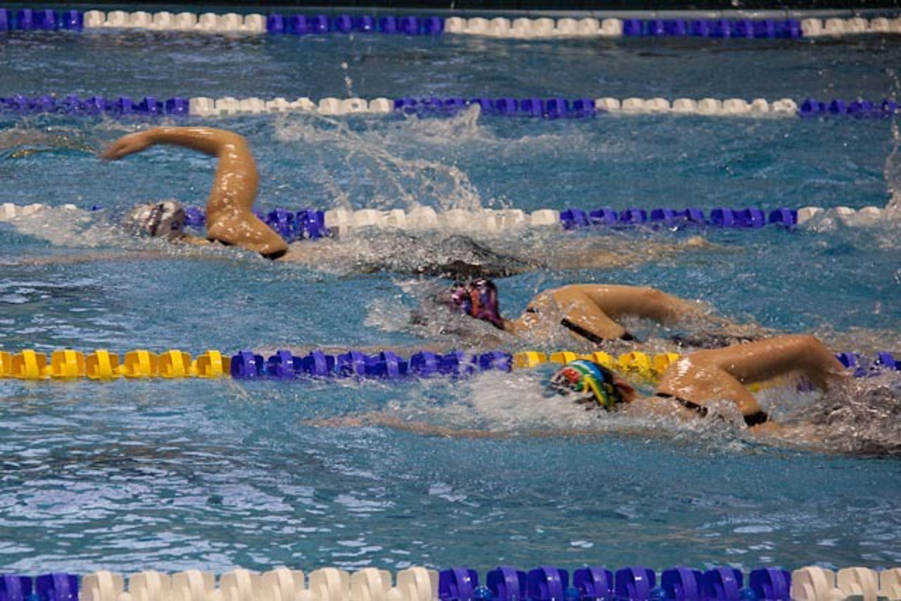 55. Internationales Neptunschwimmfest