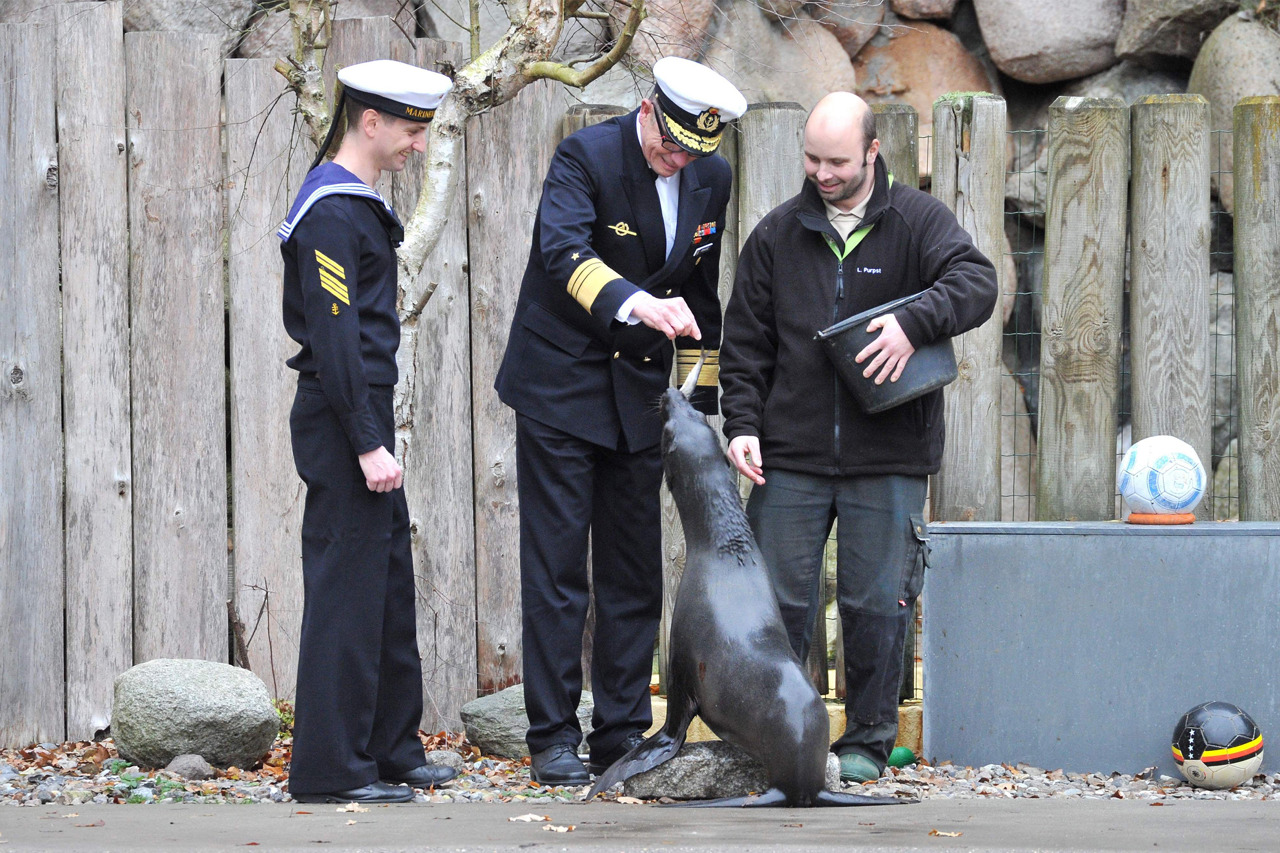 Seebärin Wendy aus Prag genoss heute die ganze Zuwendung der Marine und eine Extraportion lecker Fisch von Vizeadmiral Andreas Krause (Foto: Joachim Kloock)
