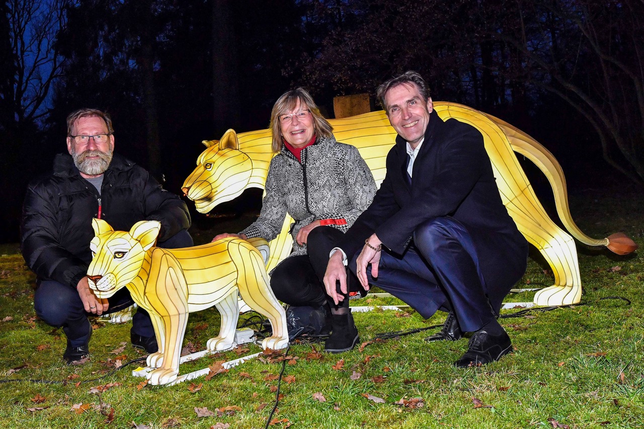 Ute Römer, Vorständin der Stadtwerke Rostock, und Ralf Zimlich, Vorsitzender der WIRO-Geschäftsführung (re.) schauten sich mit Zoodirektor Udo Nagel die ersten Zoolights an, hier bei der Löwenfamilie. (Foto: Joachim Kloock)