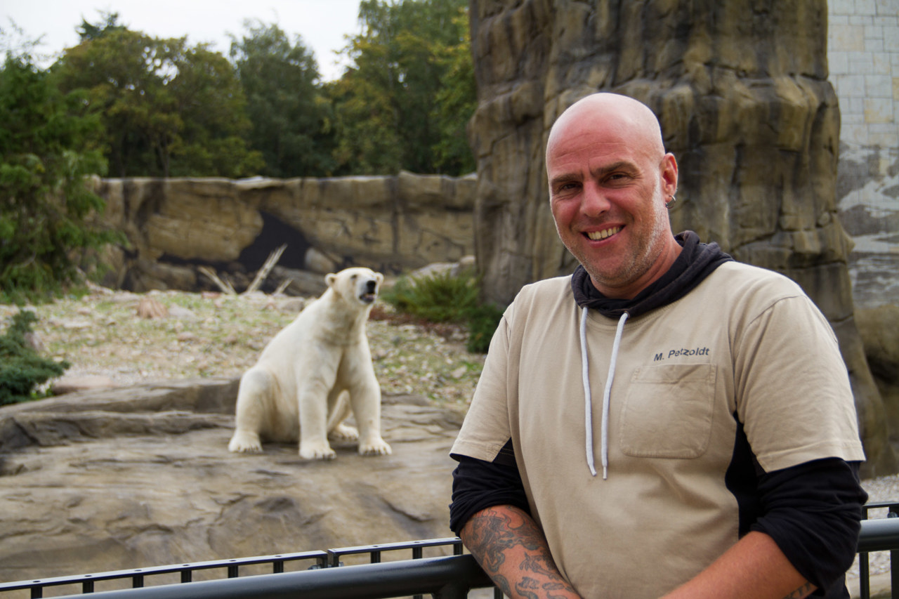 Ihm fressen die Rostocker Eisbären aus der Hand: Tierpfleger Matthias Petzold