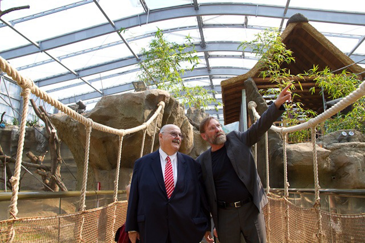 "Hier möchte man gern Affe sein", sagt Claus Friedrich Holtmann von der Ostdeutschen Sparkassenstiftung, die die Ausstellung finanziell unterstützt, als ihn Zoodirektor Udo Nagel durch die Tropenhalle, dem zukünftigen Zuhause der Rostocker Menschenaffen, führt