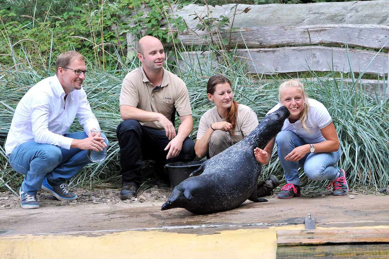 Küsschen vom für die Seehund-Taufepatin Carolin Haase (Foto: Joachim Kloock)