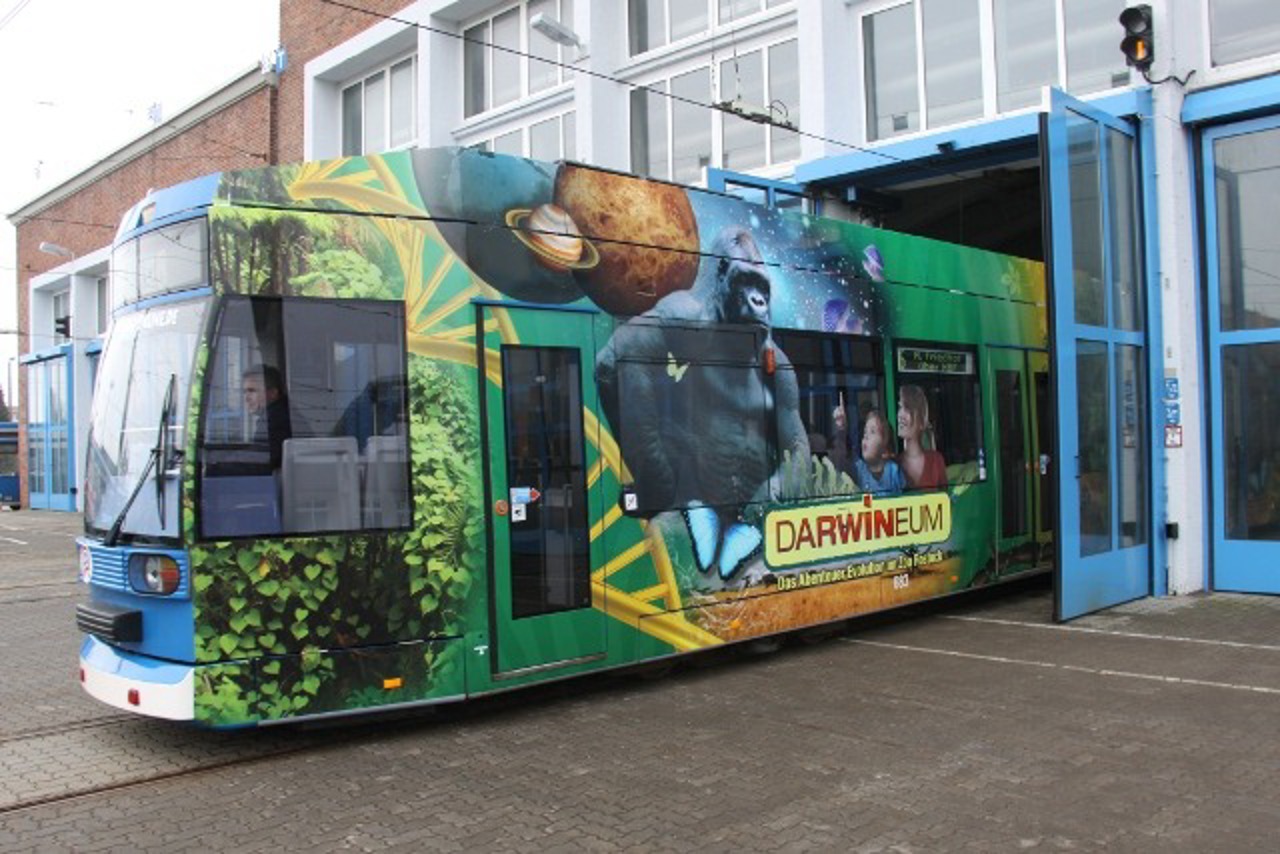 Die "DARWINEUM-Zoo-Bahn" startet zu ihrer Jungfernfahrt