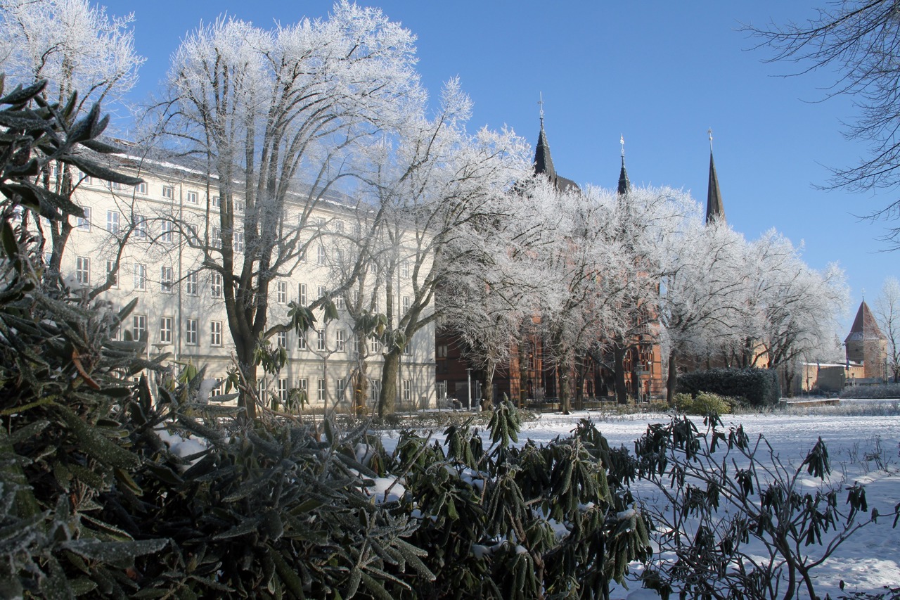 Winter im Rosengarten