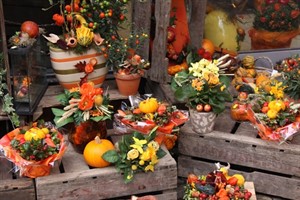 Kürbisse beim Halloween Markt Rostock