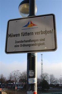 Möwen füttern verboten