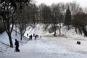 Rodeln in Rostock