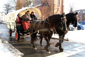 Kutschfahrt durch die Warnemünder Innenstadt