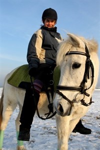 Pony Rosi aus Lambrechtshagen am Strand