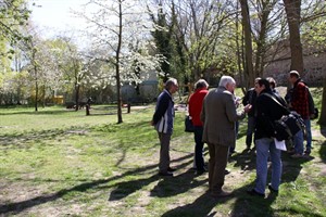 Rostocker Klostergarten, Lärmspaziergang