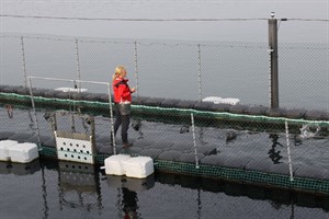 Marine Science Center Hohe Düne