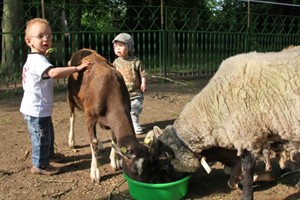 IN NATURA - Jarne und Maximilien