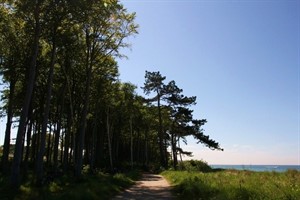 Warnemünder Strand