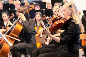 2. Violine Landesjugendorchester Mecklenburg-Vorpommern