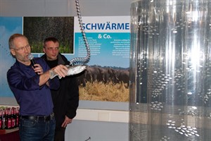 Frank Fuchs in der Ausstellung "Der schlaue Schwarm"