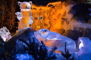 Die Bärenhöhle von Yuriy Kosterin aus der Ukraine