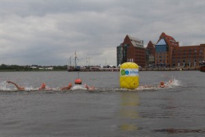 Freischwimmen im Stadthafen