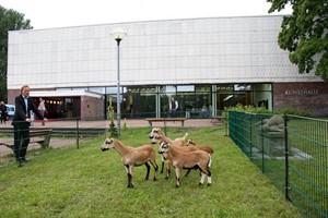 Arkadische Botschaft in der Kunsthalle Rostock