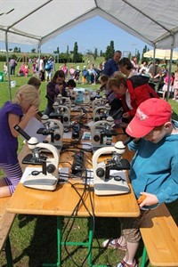 Auch das Kleinste will entdeckt werden - auf dem UmweltKinderFest im IGA-Park