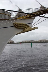 Der Albatros braucht - wie ein Segelschiff - Wind, um in Bewegung zu bleiben